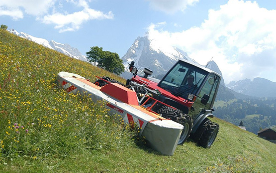 feldkirchtagung