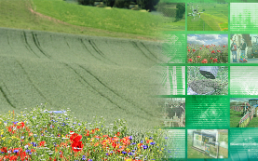 Indicate Biodiversität
