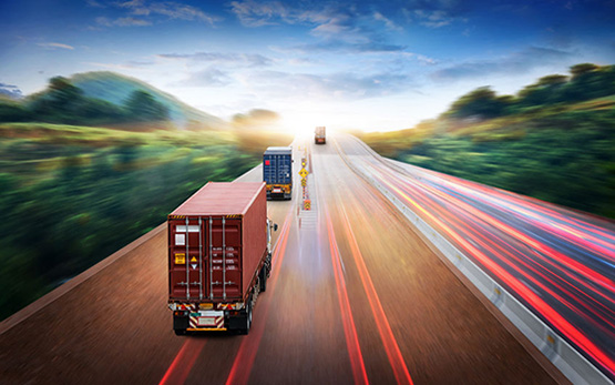 import-und-inverkehrbringen-von-futtermitteln