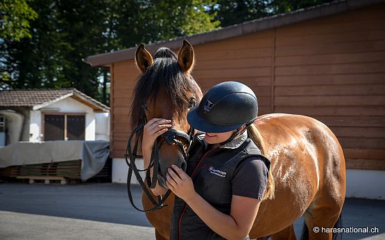 Lehrling & Hengst Relax