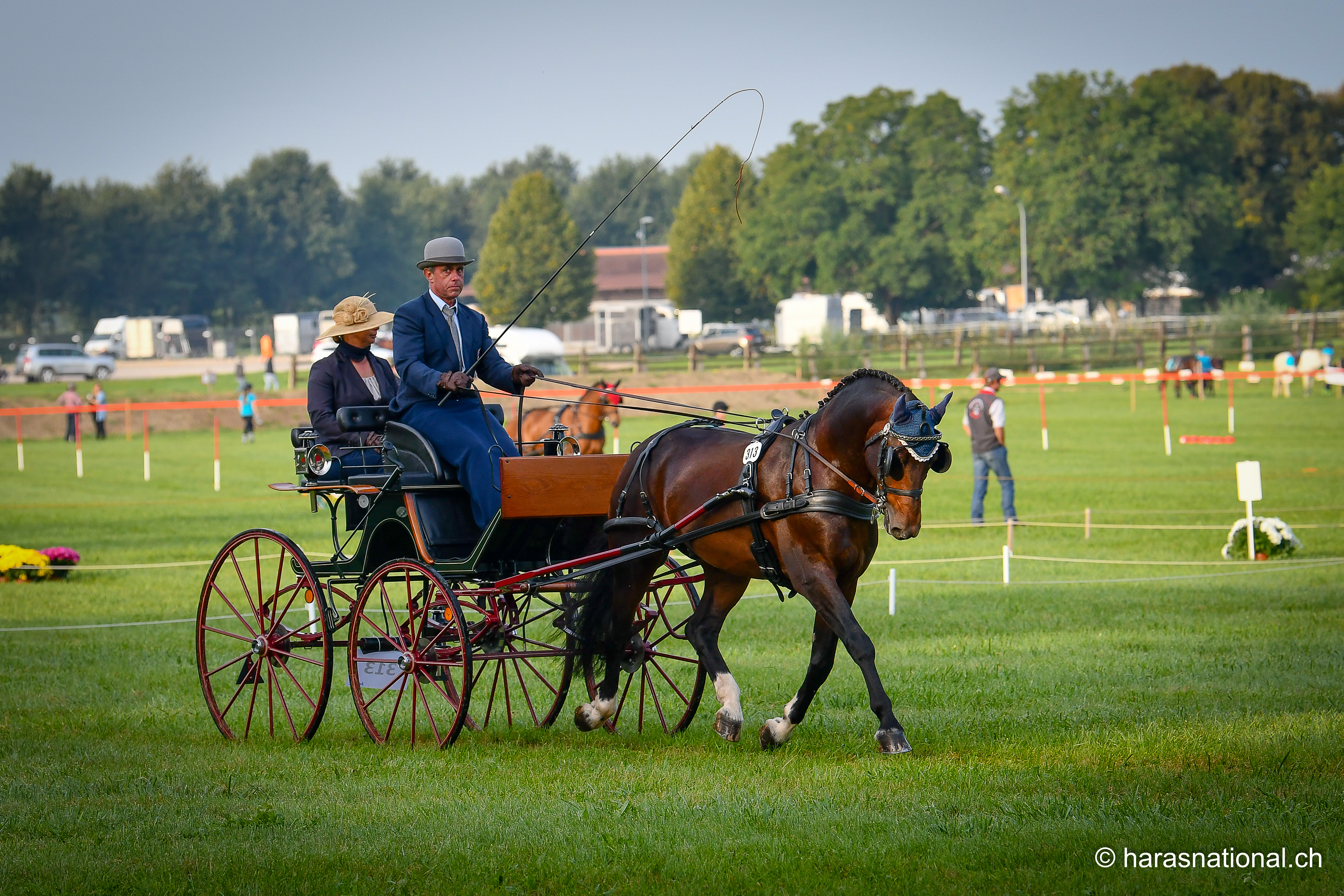 Fahren SNG