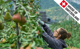 Fred House of Switzerland