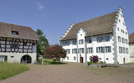 Tänikon Convent