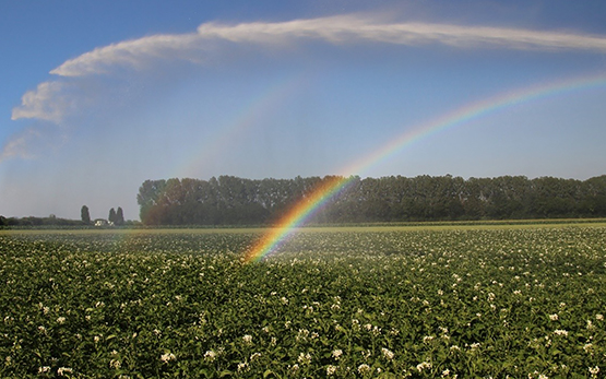 Irrigation