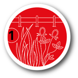 sff-csr_01-