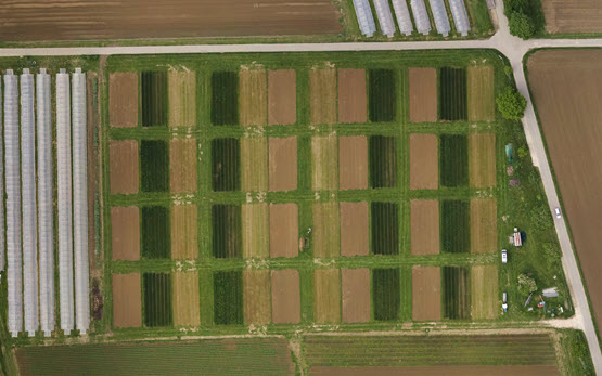 Aerial Photo DOK Long-Term System Comparison