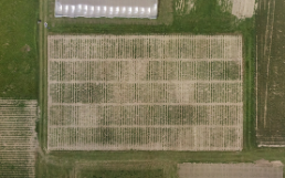 Aerial Photo Zurich Organic Fertilisation Experiment