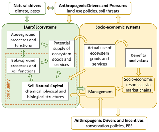 PP_Conceptual_framework