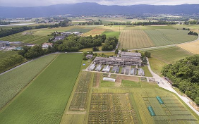 Crop rotation