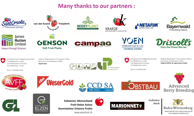 Image_sponsors_Rubus_Ribes_2019